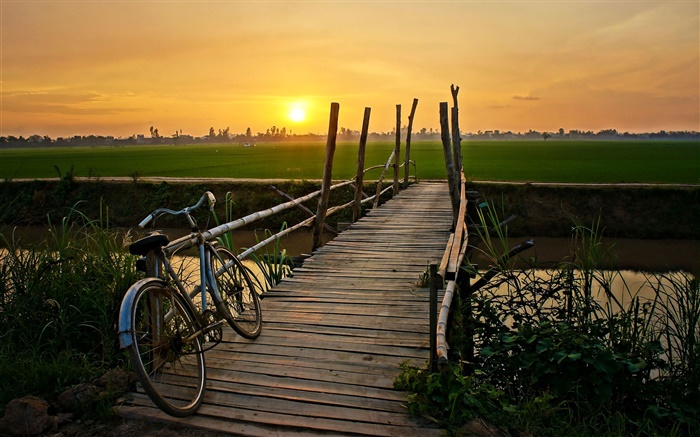 La puesta del sol, bicicleta, puente, hierba, campo, río Fondos de pantalla, imagen
