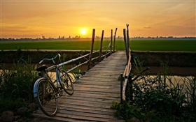 La puesta del sol, bicicleta, puente, hierba, campo, río HD fondos de pantalla