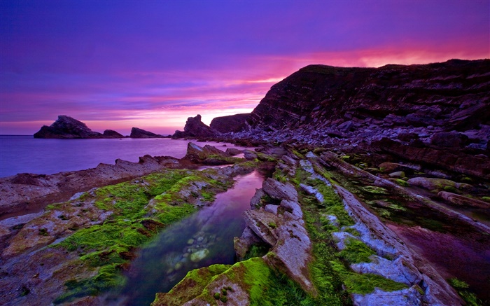 Puesta del sol, mar, costa, piedras, musgo, cielo púrpura Fondos de pantalla, imagen