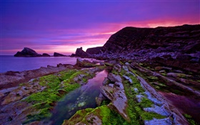 Puesta del sol, mar, costa, piedras, musgo, cielo púrpura HD fondos de pantalla
