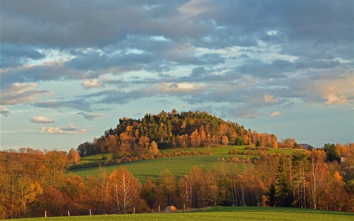 Árboles, campo, otoño, pendiente Fondos de pantalla, imagen