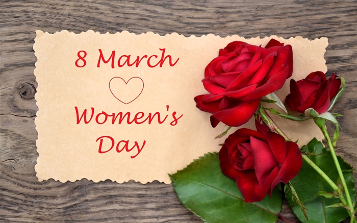 8 de marzo Día de la Mujer, flores rosas rojas Fondos de pantalla, imagen