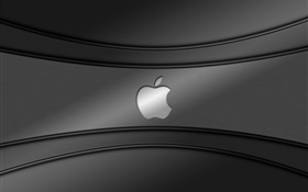 logotipo de la manzana, fondo gris HD fondos de pantalla