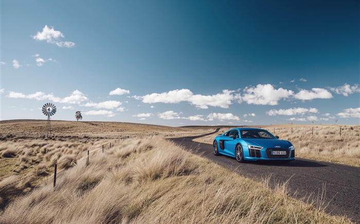 Audi R8 V10 coche azul, naturaleza, hierba, camino Fondos de pantalla, imagen