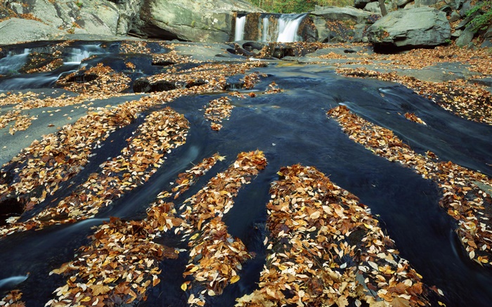 Otoño, muchas hojas, cascada, cala, rocas Fondos de pantalla, imagen