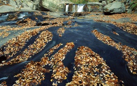 Otoño, muchas hojas, cascada, cala, rocas HD fondos de pantalla