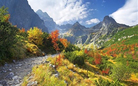 la naturaleza del otoño, montañas, hierba amarilla, árboles, nubes