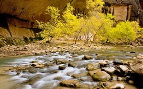 Otoño, Río, piedras, árboles, hojas amarillas HD fondos de pantalla