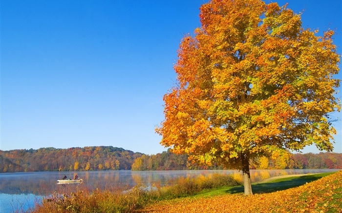 Otoño, árboles, hojas amarillas, río Fondos de pantalla, imagen