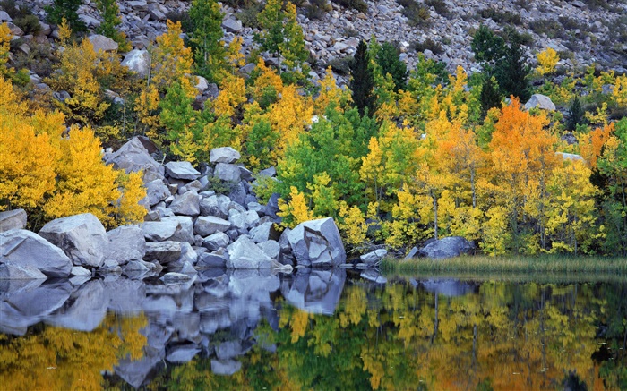 Otoño, árboles, rocas, lago, la reflexión del agua Fondos de pantalla, imagen