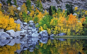 Otoño, árboles, rocas, lago, la reflexión del agua