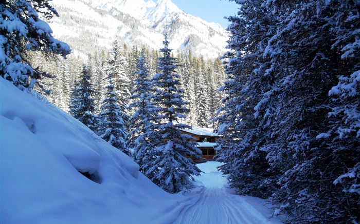 Parque Nacional Banff, Canadá, árboles, casa, montañas, nieve Fondos de pantalla, imagen