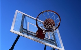 aro de baloncesto y baloncesto