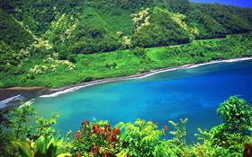 Bahía, el mar, las montañas, las plantas verdes, Hawaii, USA HD fondos de pantalla