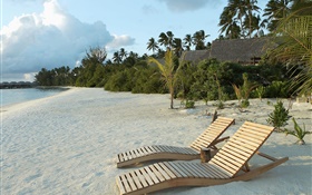 Playa, silla, palmeras, tropical