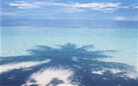 Playa, mar, Sombra de la palmera, Maldivas