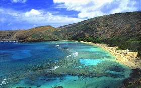 Playa, mar, gente, Hawai, EE.UU. HD fondos de pantalla
