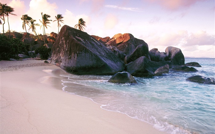 Playa, mar, piedras, rocas, palmeras Fondos de pantalla, imagen