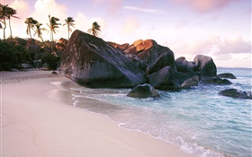 Playa, mar, piedras, rocas, palmeras HD fondos de pantalla