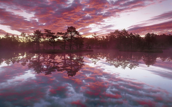 Hermoso atardecer, árboles, lago, reflexión del agua, nubes rojas Fondos de pantalla, imagen