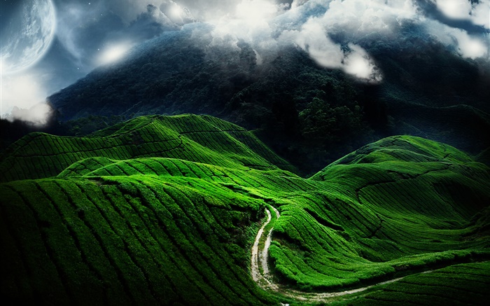 Hermoso paisaje, colina verde, camino, nubes Fondos de pantalla, imagen
