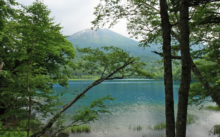 La hermosa naturaleza, lago, árboles, montañas, Hokkaido, Japón Fondos de pantalla, imagen