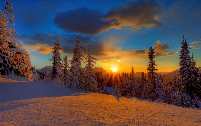 Hermosa puesta de sol, invierno, nieve, árboles, oscuridad Fondos de pantalla, imagen