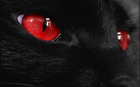 animal cara negro, ojos rojos