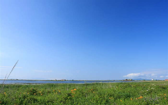 cielo azul, hierba, costa, Hokkaido, Japón Fondos de pantalla, imagen