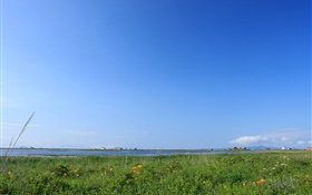 cielo azul, hierba, costa, Hokkaido, Japón