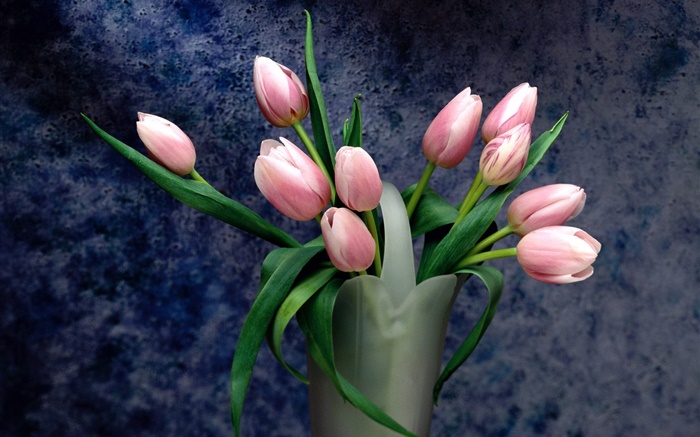 Ramo, flores de color rosa tulipán Fondos de pantalla, imagen