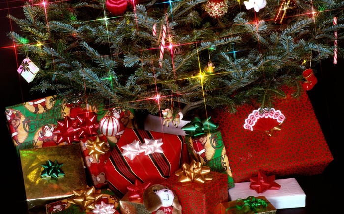regalos de navidad, luces, ramas de pino Fondos de pantalla, imagen