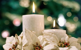 Tema de navidad, velas blancas