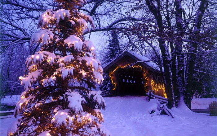árbol de navidad, nieve, casa, árboles Fondos de pantalla, imagen