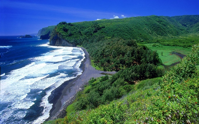 Costa, mar, playa, Hawai, EE.UU. Fondos de pantalla, imagen