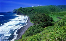 Costa, mar, playa, Hawai, EE.UU. HD fondos de pantalla