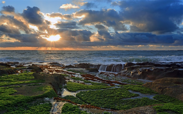 Costa, piedras, puesta del sol, nubes, océano Pacífico Fondos de pantalla, imagen