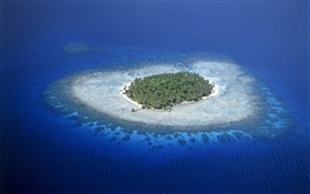 Los arrecifes de coral, Micronesia, mar, isla