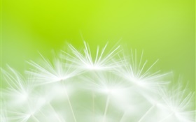flores de diente de primer plano, fondo verde HD fondos de pantalla