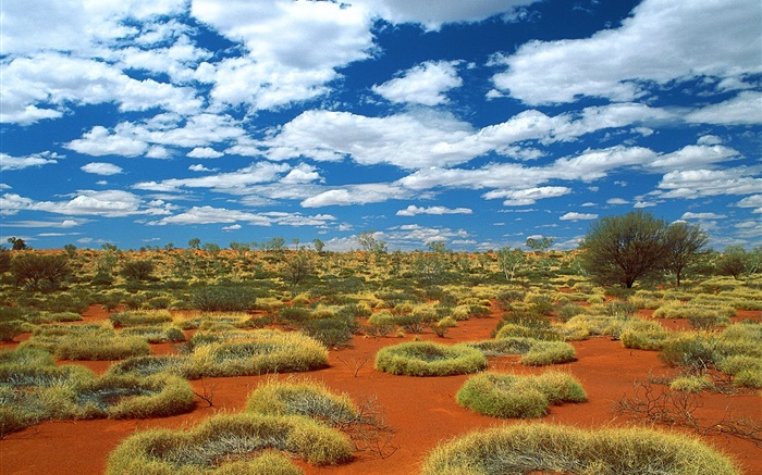 Desierto, hierba, nubes, Australia Fondos de pantalla, imagen