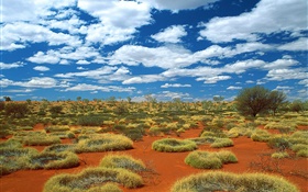 Desierto, hierba, nubes, Australia