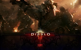 Diablo III, Blizzard juego HD fondos de pantalla