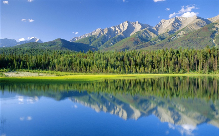 Lago perro, montañas, bosques, el Parque Nacional de Kootenay, Columbia Británica, Canadá Fondos de pantalla, imagen
