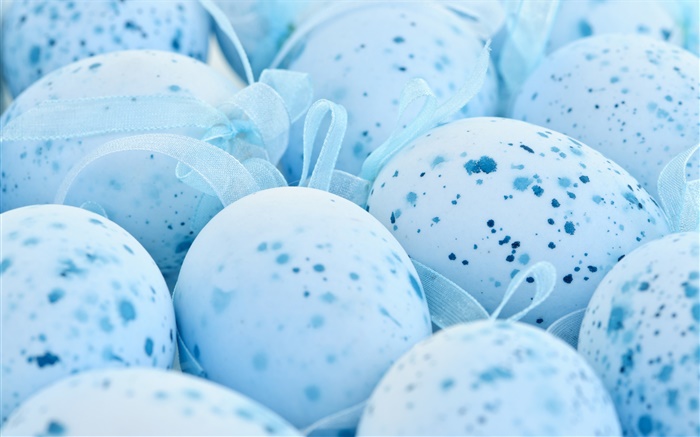 Pascua, huevos de color azul, mota Fondos de pantalla, imagen