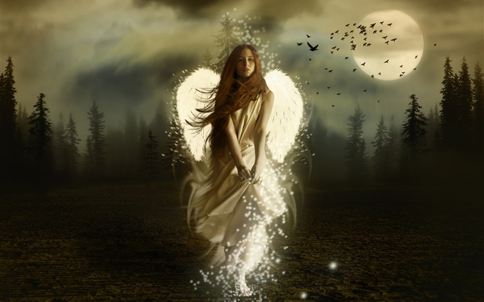 muchacha del ángel de la fantasía, alas de color blanco, la noche, la luna, las aves Fondos de pantalla, imagen
