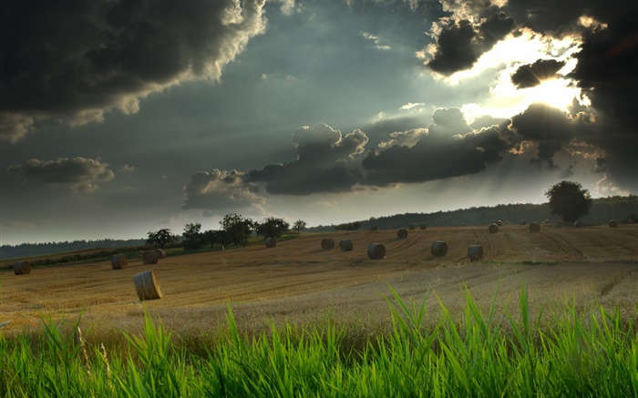 El campo, heno, hierba, cielo nublado, los rayos del sol Fondos de pantalla, imagen