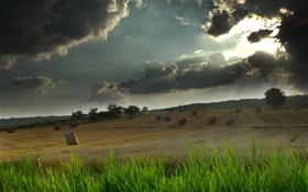 El campo, heno, hierba, cielo nublado, los rayos del sol HD fondos de pantalla