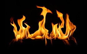 El fuego de llama primer plano, fondo negro HD fondos de pantalla