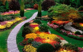 flores del jardín, colorido, primavera