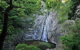 Grandes naturaleza, cascadas, acantilados, lago, árboles, Hokkaido, Japón